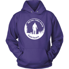 Load image into Gallery viewer, Sanctuary Logo Bright Hoodie