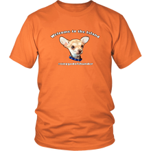Load image into Gallery viewer, Unisex District T-Shirt (additional colors available)