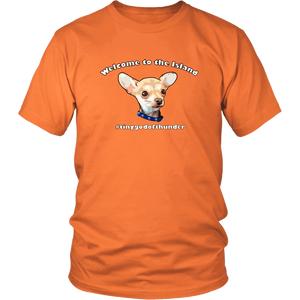 Unisex District T-Shirt (additional colors available)