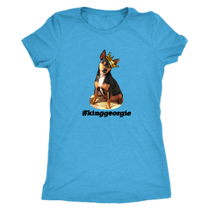 Women's Next Level Triblend T-Shirt (additional colors available)