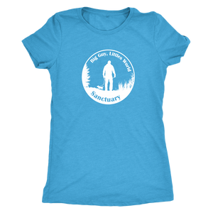 Women's Next Level Triblend T-Shirt (additional colors available)