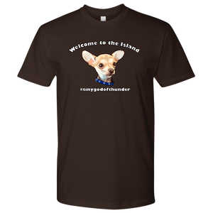 Men's Next Level T-Shirt (additional colors available)