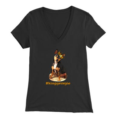 Women's Bella V-Neck T-Shirt (Additional Colors Available)