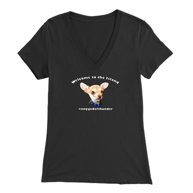 Women's Bella V-Neck T-Shirt (Additional Colors Available)