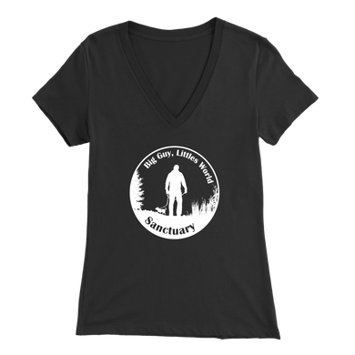 Women's Bella V-Neck T-Shirt (Additional Colors Available)