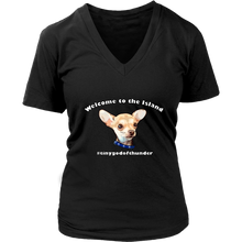Load image into Gallery viewer, Women&#39;s District V-Neck T-Shirt (additional colors available)