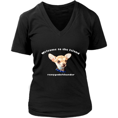 Women's District V-Neck T-Shirt (additional colors available)