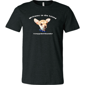Unisex Canvas T-Shirt (additional colors available)