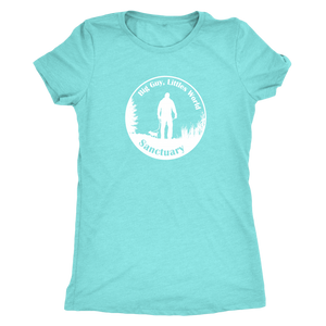 Women's Next Level Triblend T-Shirt (additional colors available)
