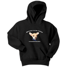 Load image into Gallery viewer, Youth hoodie