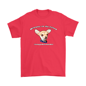 Men's Gildan T-Shirt (additional colors available)