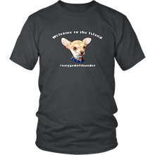 Load image into Gallery viewer, Unisex District T-Shirt (additional colors available)
