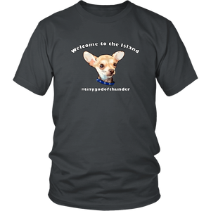 Unisex District T-Shirt (additional colors available)