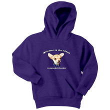 Load image into Gallery viewer, Youth hoodie