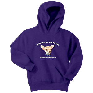 Youth hoodie