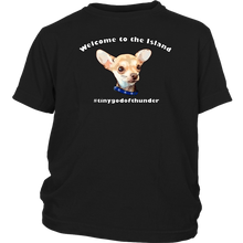 Load image into Gallery viewer, Youth T-shirt