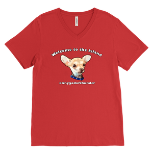 Men's Canvas V-Neck T-Shirt (additional colors available)