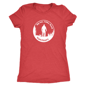 Women's Next Level Triblend T-Shirt (additional colors available)