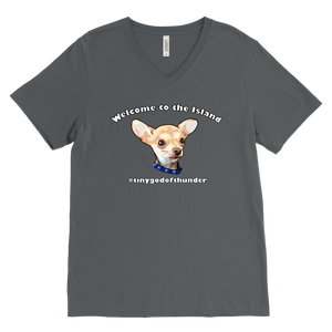 Men's Canvas V-Neck T-Shirt (additional colors available)