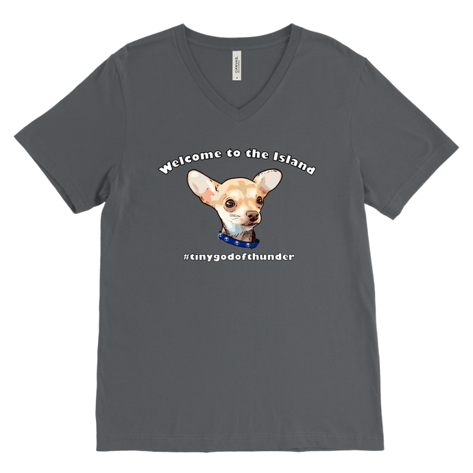Men's Canvas V-Neck T-Shirt (additional colors available)