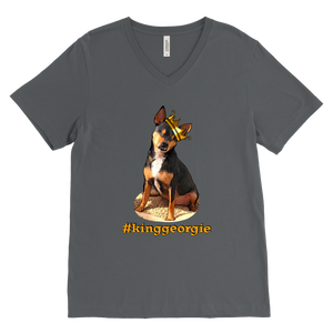 Men's Canvas V-Neck T-Shirt (additional colors available)
