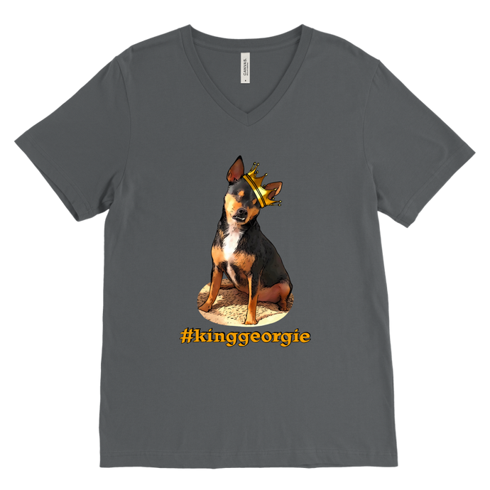 Men's Canvas V-Neck T-Shirt (additional colors available)