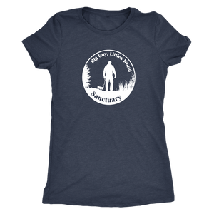 Women's Next Level Triblend T-Shirt (additional colors available)