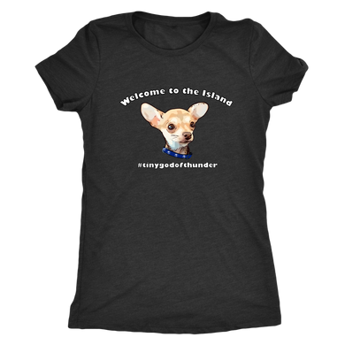 Women's Next Level Triblend T-Shirt (additional colors available)