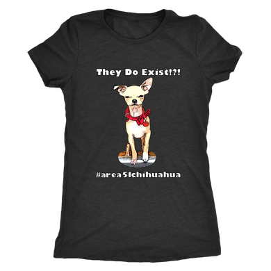 Women's Next Level Triblend T-Shirt (additional colors available)