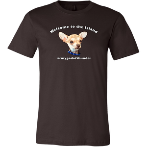 Unisex Canvas T-Shirt (additional colors available)