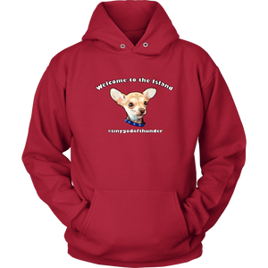 Unisex Hoodie (additional colors available)