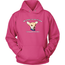 Load image into Gallery viewer, Unisex Hoodie (additional colors available)