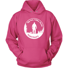 Load image into Gallery viewer, Sanctuary Logo Bright Hoodie