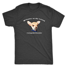 Load image into Gallery viewer, Men&#39;s Next Level Triblend T-Shirt (additional colors available)