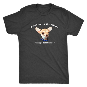 Men's Next Level Triblend T-Shirt (additional colors available)