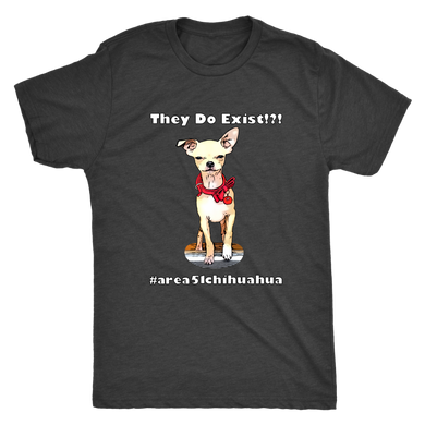 Men's Next Level Triblend T-Shirt (Additional Colors Available)