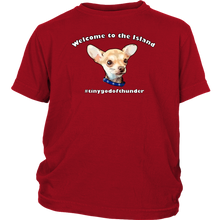 Load image into Gallery viewer, Youth T-shirt