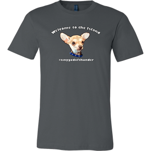 Unisex Canvas T-Shirt (additional colors available)