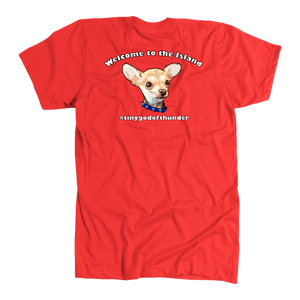 Men's American Apparel Slim Fit T-Shirt (Additional Colors Available)
