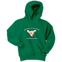 Load image into Gallery viewer, Youth hoodie