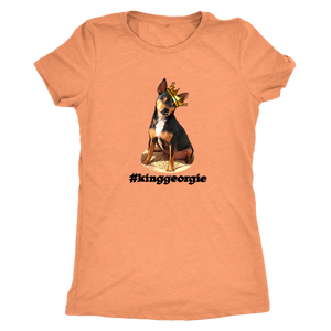 Women's Next Level Triblend T-Shirt (additional colors available)