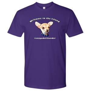 Men's Next Level T-Shirt (additional colors available)
