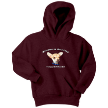 Load image into Gallery viewer, Youth hoodie