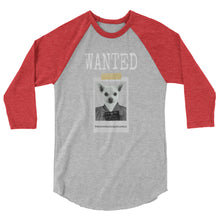 Load image into Gallery viewer, Wanted Winston 3/4 sleeve raglan shirt