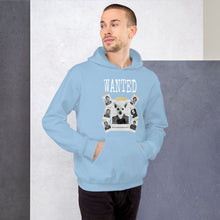 Load image into Gallery viewer, Killer Winston Unisex Hoodie