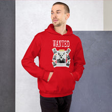Load image into Gallery viewer, Killer Winston Unisex Hoodie