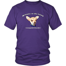 Load image into Gallery viewer, Unisex District T-Shirt (additional colors available)