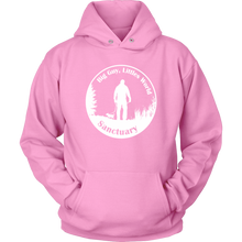 Load image into Gallery viewer, Sanctuary Logo Bright Hoodie