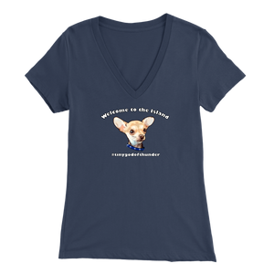 Women's Bella V-Neck T-Shirt (Additional Colors Available)