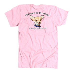 Men's American Apparel Slim Fit T-Shirt (Additional Colors Available)